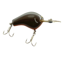 Load image into Gallery viewer, Right Facing View of BAGLEY Divin&#39; B II or DB-2 Fishing Lure in BLACK on BROWN. For Sale Online at Toad Tackle!
