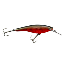 Lade das Bild in den Galerie-Viewer, BAGLEYS DIVING BANG-O 6 BALSA CRANKBAIT. LITTLE MUSKIE ON ORANGE. 3
