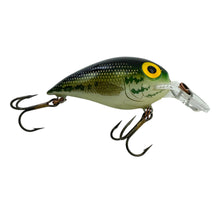 Load image into Gallery viewer, STORM LURES MID WART 5 Fishing Lure in BASS. Mid Runner Crankbait for Largemouth Bass &amp; Trophy Predator Fish! R
