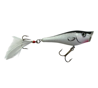 BERKLEY FRENZY TOPWATER POPPER Fishing Lure in GREY GHOST R 2nd gen
