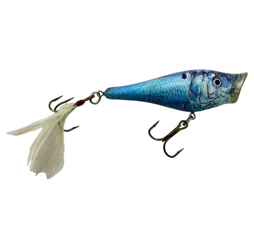 Berkley Frenzy Topwater Popper Fishing Lure in THREADFIN SHAD R5
