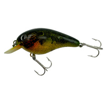Load image into Gallery viewer, COTTON CORDELL BIG O Crankbait. 7800 BLUEGILL L

