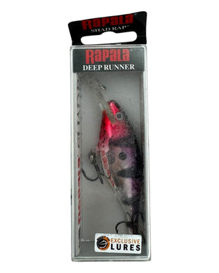 RAPALA LURES SHAD RAP Fishing Lure in BROKEN NOSE. Fleet and Farm Special Edition Color.