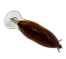 Load image into Gallery viewer, RAPALA LURES DT4 Balsa Crankbait in BROWN BONE. Dives To Series Hardbait. D

