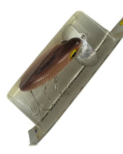 Charger l&#39;image dans la galerie, ARBOGAST BIG EYE JITTERBUG in BROWN SCALE. Special Production for Japan. 650 BRS stencil

