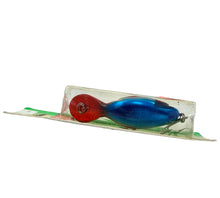 Charger l&#39;image dans la galerie, HEDDON LURES CLATTER TAD TADPOLLY in BLUE PIRATE. USA FLAG COLORS.
