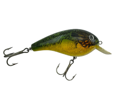 COTTON CORDELL BLUEGILL BIG-O 8000 Series Crankbait