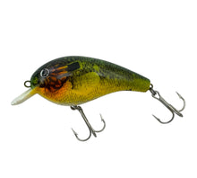画像をギャラリービューアに読み込む, Cordell Big O Crankbait in Bluegill L
