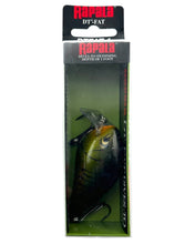 Load image into Gallery viewer, RAPALA LURES DT-FAT SHALLOW RUNNER in MARDI GRAS. DIVES-TO Series Waker.
