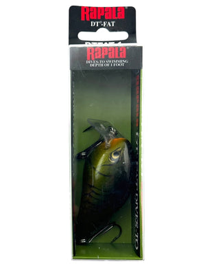 RAPALA LURES DT-FAT SHALLOW RUNNER in MARDI GRAS. DIVES-TO Series Waker.