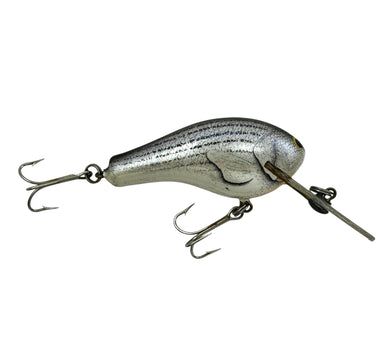 BAGLEY FISHING LURES DIVING B2 in TRUE LIFE STRIPER on WHITE R