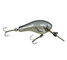 Load image into Gallery viewer, BAGLEY FISHING LURES DIVING Killer B2 in TRUE LIFE STRIPER on WHITE R
