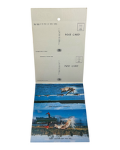 Charger l'image dans la galerie, FABULOUS FISHING ADVENTURES Vintage Fishing Trip Post Cards. OUTDOORS TRAVEL EPHEMERA. eau claire wi
