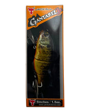 Load image into Gallery viewer, JACKALL LURES GANTAREL JR Swimbait in BLUEGILL 5&quot; Big Fish Bait
