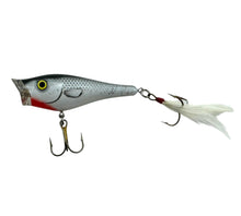 Charger l&#39;image dans la galerie, BERKLEY FRENZY TOPWATER POPPER Fishing Lure in GREY GHOST L
