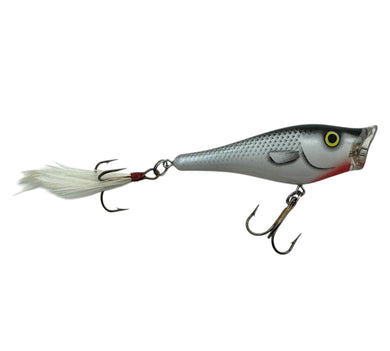 BERKLEY FRENZY TOPWATER POPPER Fishing Lure in GREY GHOST