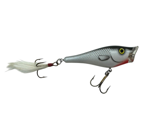 BERKLEY FRENZY TOPWATER POPPER Fishing Lure in GREY GHOST