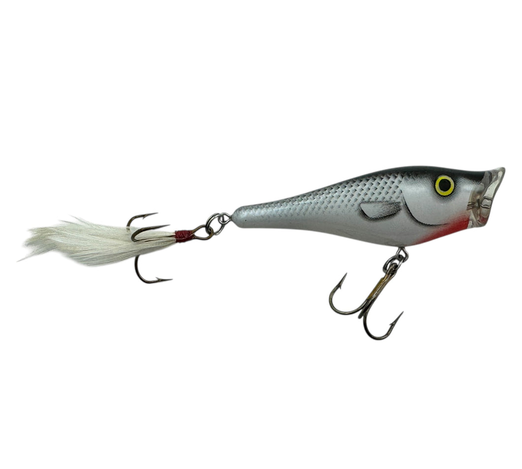 BERKLEY FRENZY TOPWATER POPPER Fishing Lure in GREY GHOST