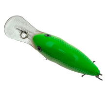 Lade das Bild in den Galerie-Viewer, RAPALA LURES DT6. DIVES TO 6 FEET Fishing Lure in GREEN SHAD. 3
