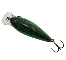 Load image into Gallery viewer, Back View for COTTON CORDELL BIG O Fishing Lure in BLUEGILL. Fred Young’s Balsa Wood Crankbait. 
