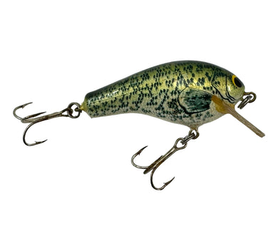 Right Facing View of BAGLEY KILL'R B II (Killer B2) Fishing Lure in TRUE LIFE CRAPPIE with Square Bill