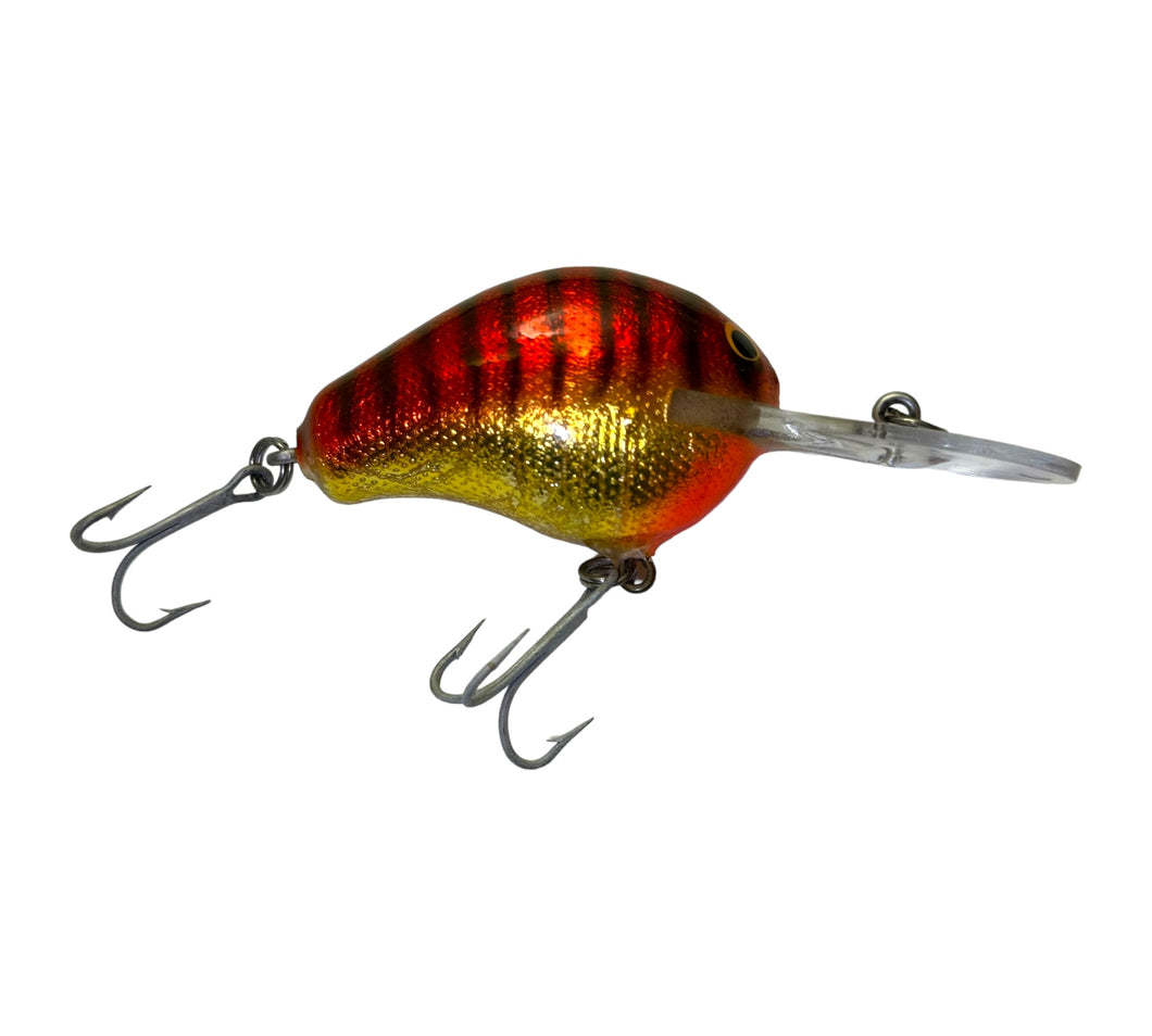 Right Facing View of BAGLEY BAIT COMPANY DB-1 Diving B 1 Fishing Lure in HOT ROD on GOLD