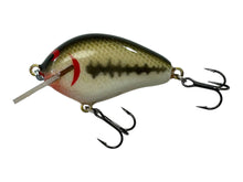 Lade das Bild in den Galerie-Viewer, Left Facing View of PAUL CROWE HANDCRAFTED 2&quot; Shallow Diver FISHING LURE
