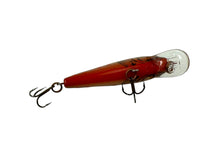 Lade das Bild in den Galerie-Viewer, Belly View of REBEL LURES F49 REBEL MINNOW Fishing Lure in NATURALIZED BROWN TROUT
