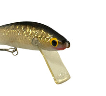 Lade das Bild in den Galerie-Viewer, Square Lip View of DAM Plastic MINNOW Fishing Lure in HOLOGRAPHIC GOLD
