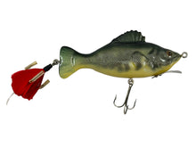 Load image into Gallery viewer, Right Facing View of National Fishing Lure Collectors Club 2008 CLUB LURE • NFLCC Commemorative Fishing Lure • REND LAKE BASS
