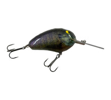 Load image into Gallery viewer, Right Facing View of Mango Enterprises C-Flash Crankbaits 44 MAG Fishing Lure in BLUEGILL
