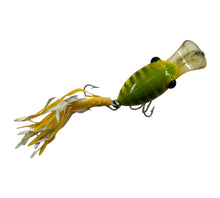 Lade das Bild in den Galerie-Viewer, Top View of FRED ARBOGAST Series 75 BUG-EYE Vintage Fishing Lure in GREEN PARROT
