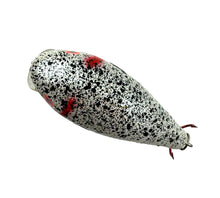 Lade das Bild in den Galerie-Viewer, Back View of Mann&#39;s Bait Company Baby 1- (One Minus) Fishing Lure in SPLATTER BACK
