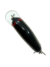 Lade das Bild in den Galerie-Viewer, Back View of PAUL CROWE HANDCRAFTED 2&quot; Shallow Diver FISHING LURE
