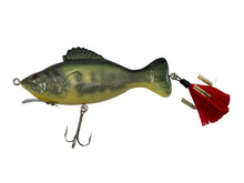 Load image into Gallery viewer, Left Facing View of National Fishing Lure Collectors Club 2008 CLUB LURE • NFLCC Commemorative Fishing Lure • REND LAKE BASS
