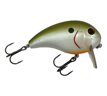 Lade das Bild in den Galerie-Viewer, Right Facing View of XCALIBUR HI-TEK TACKLE XW6 Wake Bait Fishing Lure in TENNESSEE SHAD
