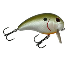 Lataa kuva Galleria-katseluun, Right Facing View of XCALIBUR HI-TEK TACKLE XW6 Wake Bait Fishing Lure in TENNESSEE SHAD
