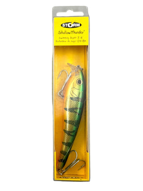 STORM LURES SHALLOW THUNDER 11 Fishing Lure in GOLD PERCH