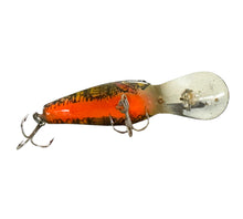 Charger l&#39;image dans la galerie, Belly View of COTTON CORDELL DEEP BIG O Fishing Lure w/Original Box &amp; Insert in NATURAL PERCH
