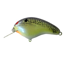 Load image into Gallery viewer, Signed View of BRIAN&#39;S BEES CRANKBAITS 2 1/2&quot; SQUARE BILL Fishing Lure. Available at Toad Tackle.
