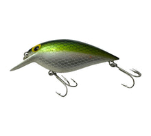 Load image into Gallery viewer, Left Facing View of  STORM LURES ThinFin FATSO Fishing Lure in GREEN SCALE
