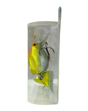 Cargar imagen en el visor de la galería, Side View of LUCKY CRAFT VIRTUAL BAITS KINGYO KASHIRA 80F Fishing Lure in KINGYO LIMITED;  LIMITED EDITION
