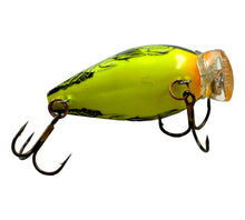 Load image into Gallery viewer, Belly View of STORM LURES SUBWART 5 Fishing Lure in BUMBLE BEE
