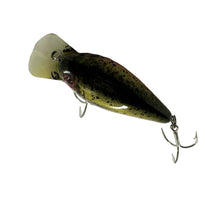 Load image into Gallery viewer, Top View of  COTTON CORDELL 7800 Series BIG O Fishing Lure in RAINBOW TROUT
