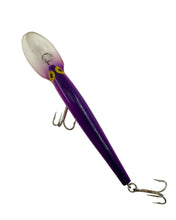 Lade das Bild in den Galerie-Viewer, Top View of STORM LURES DEEP THUNDERSTICK Fishing Lure in TEQUILA SUNRISE
