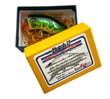 Charger l&#39;image dans la galerie, ARCADIA REEF BUTCH II MAGIC ACTION Wood Fishing Lure • AYU
