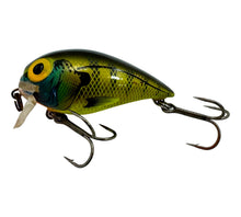 Charger l&#39;image dans la galerie, Left Facing View of STORM LURES SUBWART Size 5 Fishing Lure in BLUEGILL. Wake bait for Largemouth Bass &amp; Musky.
