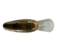 Load image into Gallery viewer, Back View of C-FLASH CRANKBAITS Handcrafted Deep Diver Fishing Lure in OLIVE GREEN CRAW/BLUE FLAKE
