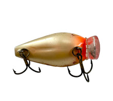 Load image into Gallery viewer, Belly View of STORM LURES SUBWART Size 5 Fishing Lure in BROWN FROG
