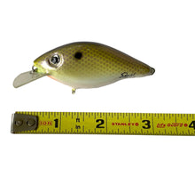 Load image into Gallery viewer, Handmade Bass Lures • BRIAN&#39;S BEES CRANKBAITS 2 3/4&quot; Pro Fishing Lure • PURPLE SCALE
